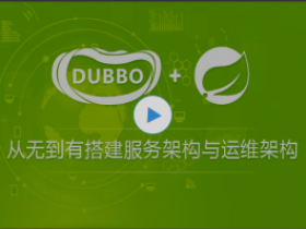 从无到有搭建中小型互联网公司后台服务架构与运维架 视频课程