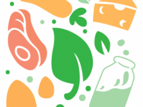 vue2.5入门到大型移动端项目开发重构饿了么App实战课程2019(二期全)