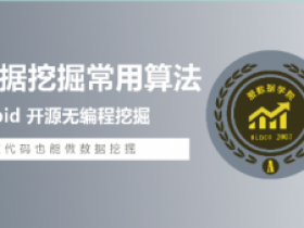 Rapidminer数据分析挖掘算法应用