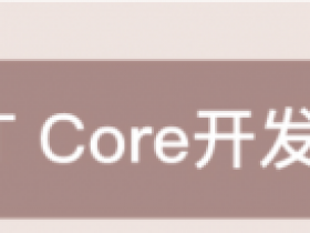 .NET Core开发实战(更新完毕)