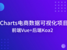 6天玩转电子商务ECharts数据可视化项目