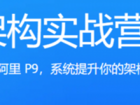 架构实战营(更新完毕)