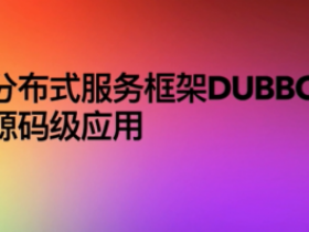 RPC+Dubbo框架入门最全教程_微服务学习必看