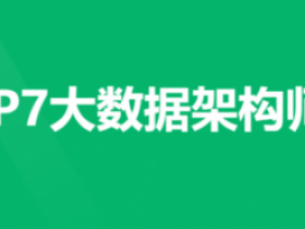 P7大数据架构师(10期)|2022年|NX