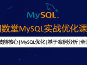 MYSQL优化班+实战班(18期)|知数堂