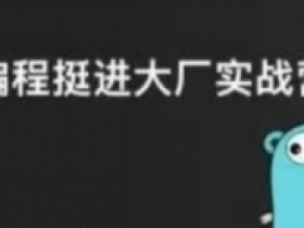 Go编程挺进大厂实战营(更新中)