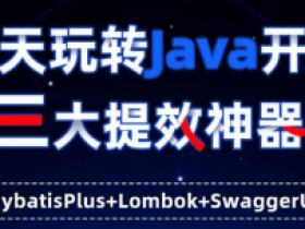 新版MybatisPlus+Lombok+SwaggerUI3.X|三大提效神器|小D