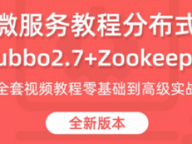 微服务教程分布式|Zookeeper+Dubbo视频教程|小D