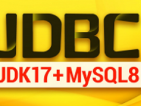 全新JDBC实战教程(JDK17+MySQL8!技术新!上手快!内容深!)