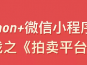 Python+微信小程序开发实战
