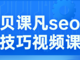 魔贝seo第11期基础班+实战VIP