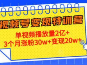 21天视频号变现特训营:单视频播放量2亿+3个月涨粉30w