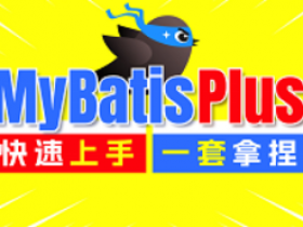 MyBatisPlus全套课程,简单快速一套精通MyBatisPlus框架