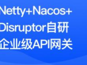 Netty&Nacos&Disruptor自研企业级API网关(更新第9章)