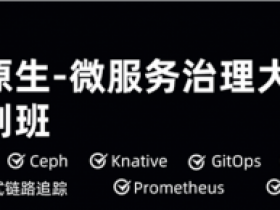 云原生-微服务治理大厂冲刺班56期
