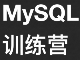 终极 MySQL 训练营:从 SQL 初学者到专家