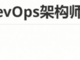 K8S+ DevOps架构师实战课(带CKA全球认证考试)|LNH