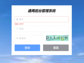 通用后台管理项目实战|基于Go+Vue