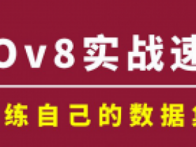 快速掌握YOLOv8算法实战课程