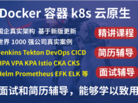 2023基于世界1000强实战课程|kubernetes/k8s+DevOps云原生全栈技术