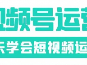 视频号短视频实操训练营第5期:7天学会短视频运营