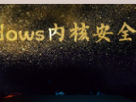 Windows内核安全VIP