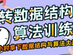 玩转数据结构与算法训练营|BXG