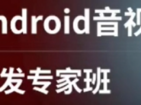 Android音视频流媒体开发专家班