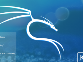 Kali渗透测试web安全高级工程师|2403期(更新中)