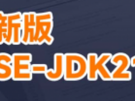 JDK21 + IDEA 旗舰版|自学从入门到多案例项目教程
