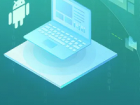 安卓高级研修班|【2024春季班】|看雪